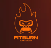 FitBurn logo